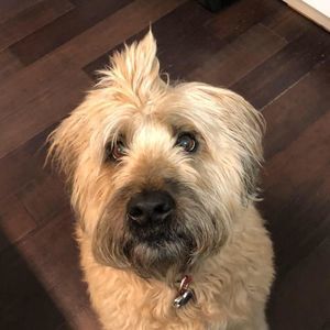 Meet your Posher, Martin